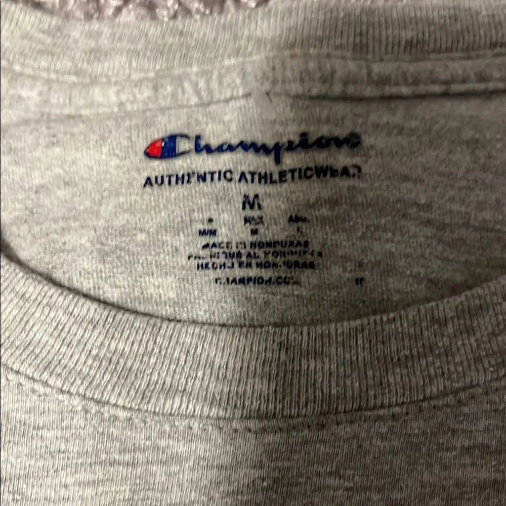 Champion Men's Gray T-Shirt - Picture 2 of 7